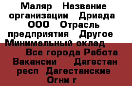 Маляр › Название организации ­ Дриада, ООО › Отрасль предприятия ­ Другое › Минимальный оклад ­ 18 000 - Все города Работа » Вакансии   . Дагестан респ.,Дагестанские Огни г.